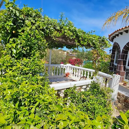 Altomira * 데니아