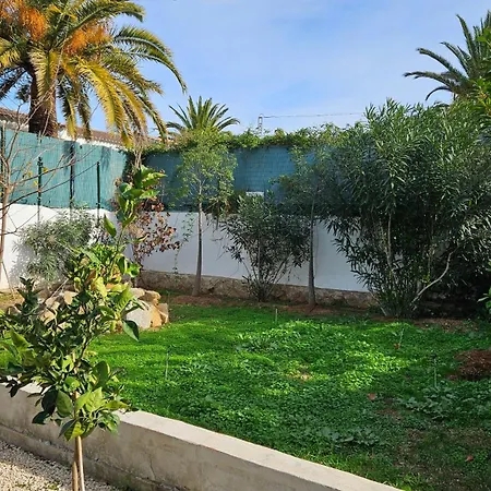 Altomira Dénia