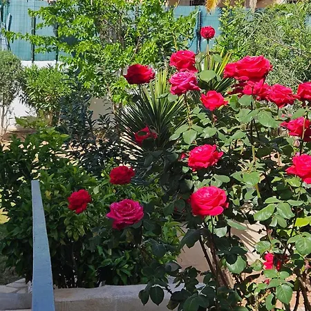 Altomira Dénia